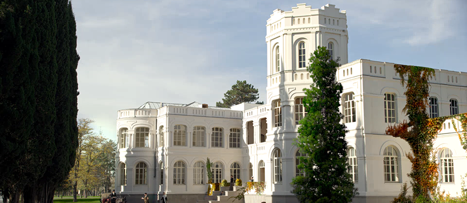 Wine tour in Tbilisi from 25$