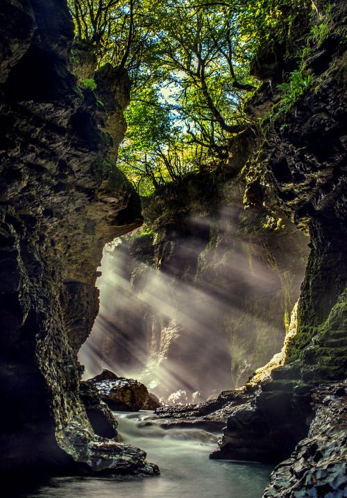 TBILISI-MARTVILI-MCKHETA 180 $